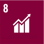 Лайықты жұмыс және экономикалық өсу